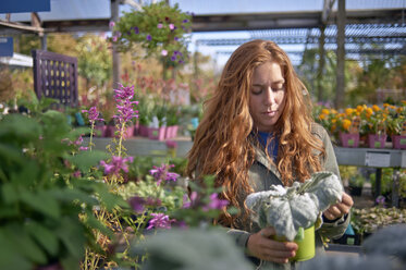 Woman looking at potted plant while standing in plant nursery - CAVF06897