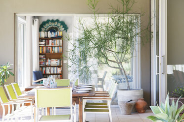 Dinning area with large table, chairs and potted plants - CAIF15511