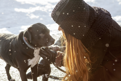 Frau mit Hund auf verschneitem Feld, lizenzfreies Stockfoto