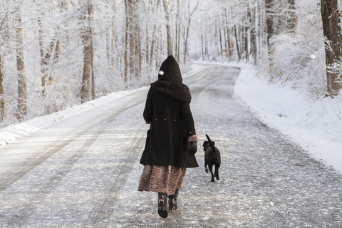 Rückansicht einer Frau, die im Winter mit ihrem Hund auf der Straße spazieren geht, lizenzfreies Stockfoto