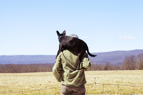 Rückansicht eines Mannes, der einen Hund auf den Schultern trägt, während er auf einem Feld vor blauem Himmel steht, lizenzfreies Stockfoto