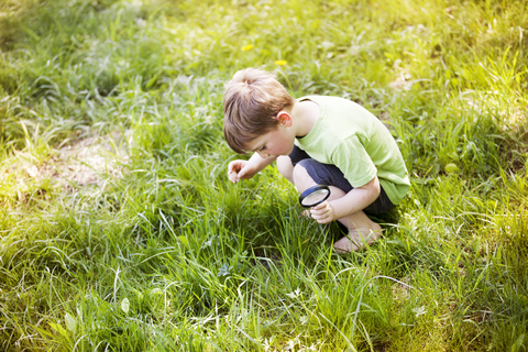 Hoher Blickwinkel eines Jungen, der Gras betrachtet und eine Lupe hält, lizenzfreies Stockfoto
