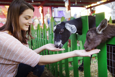 Glückliche Frau füttert Ziegen auf dem Bauernhof - CAVF07177