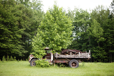 Verlassener Pick-Up auf grasbewachsenem Feld - CAVF07306