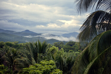 Tropical landscape against mountains - CAVF07415