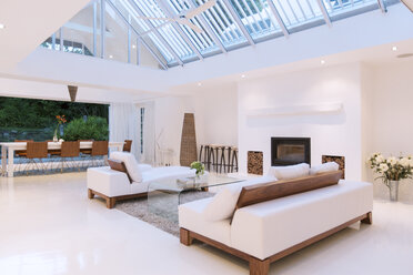 Sofas, fireplace and skylights in modern living room - CAIF15661