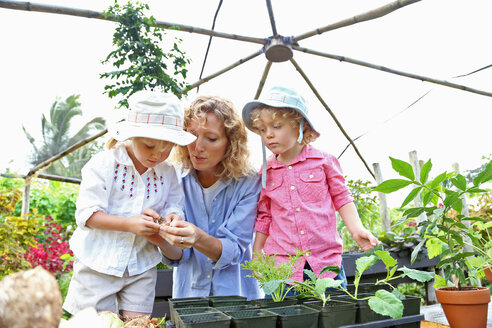 Frau mit zwei Kindern pflanzt Setzlinge im Gewächshaus - CAIF15709