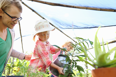 Mann hilft einem Mädchen beim Gießen von Pflanzen mit einer Gießkanne im Gewächshaus, Junge im Hintergrund, lizenzfreies Stockfoto