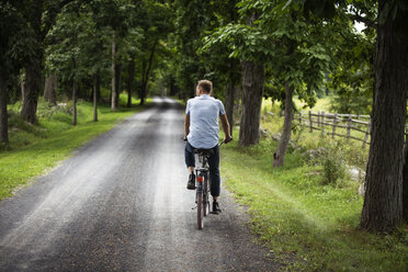 Rear view of man riding bicycle on road in forest - CAVF07675