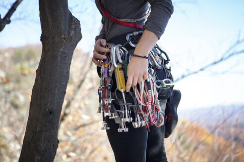 Mittelteil einer Frau mit Kletterausrüstung, die an einem Baumstamm steht - CAVF07804