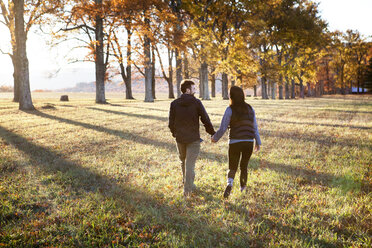 Rückansicht eines Paares, das sich beim Gehen auf einem Feld an den Händen hält - CAVF07839