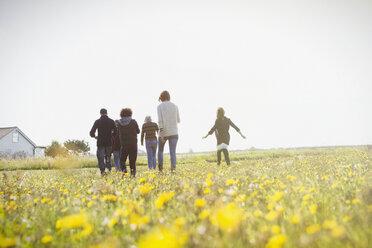 Mehrgenerationenfamilie beim Spaziergang auf einer sonnigen Wiese mit Wildblumen - CAIF15882