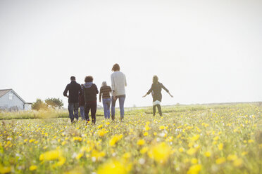 Multi-generation family walking in sunny meadow with wildflowers - CAIF15882