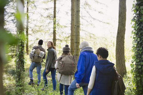 Freunde wandern im Wald, lizenzfreies Stockfoto