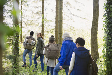 Freunde wandern im Wald - CAIF15996