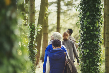 Freunde wandern zwischen efeubewachsenen Bäumen im Wald - CAIF16054