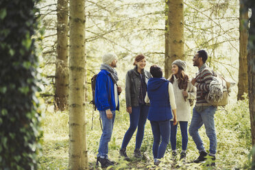 Friends talking hiking in sunny woods - CAIF16057