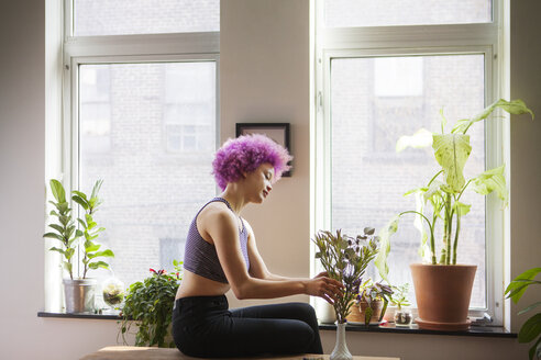 Side view of woman keeping plant in vase at home - CAVF08053