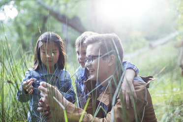 Students and teacher examining grass in forest - CAIF16233