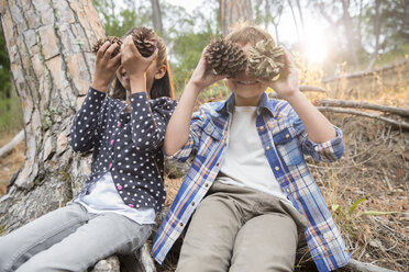 Kinder spielen mit Tannenzapfen im Wald - CAIF16238