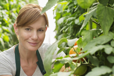 Porträt einer lächelnden Frau neben Tomatenpflanzen im Gewächshaus - CAIF16438