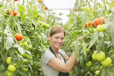 Porträt einer Frau, die sich um Tomatenpflanzen im Gewächshaus kümmert - CAIF16440