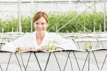 Porträt eines lächelnden Wissenschaftlers mit Pflanzen im Gewächshaus - CAIF16442