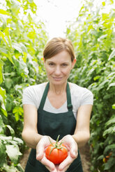 Porträt einer Frau, die eine reife Tomate im Gewächshaus hält - CAIF16472