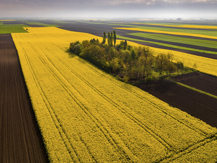Serbien, landwirtschaftliche Felder mit gelbem Rapsfeld, Luftaufnahme im Sommer - NOF00018