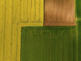 Serbia. Agricultural fields with yellow rape field, aerial view at summer - NOF00019