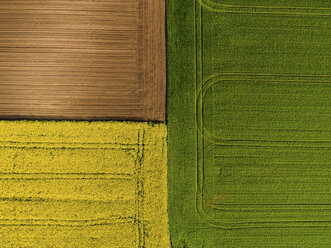 Serbia. Agricultural fields with yellow rape field, aerial view at summer - NOF00020