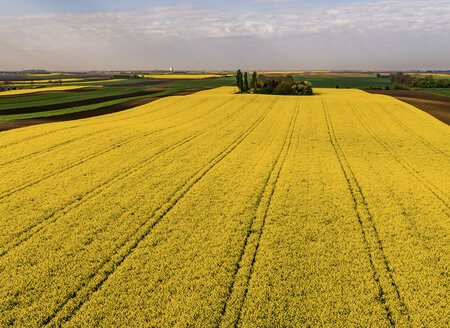 Serbien, landwirtschaftliche Felder mit gelbem Rapsfeld, Luftaufnahme im Sommer - NOF00021