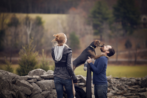 Frau sucht Mann spielt mit Hund an einer Steinmauer, lizenzfreies Stockfoto