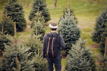 Rückansicht eines Mannes mit Rucksack, der in einem Kiefernwald spazieren geht - CAVF08334