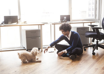 Man playing with poodle at office - CAVF08948