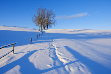 Germany, Bavaria, Upper Bavaria, Alpine foothills, Peretshofener Hoehe, snow-covered way in winter - SIEF07747