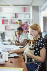 Hund sitzt auf dem Schoß einer Frau im Büro - CAIF17328