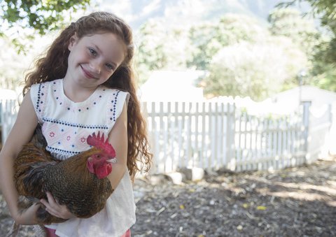 Mädchen hält Huhn im Streichelzoo, lizenzfreies Stockfoto