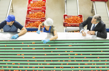 Arbeiter bei der Verarbeitung von Tomaten in einem Lebensmittelverarbeitungsbetrieb - CAIF17598