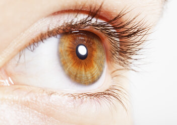 Extreme Nahaufnahme eines haselnussbraunen Auges - CAIF17707