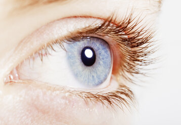 Extreme Nahaufnahme des blauen Auges - CAIF17718
