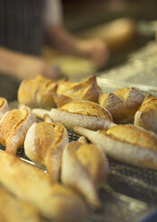Close up of fresh bread in bakery - CAIF17758