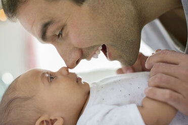 Vater reibt Nasen mit Baby - CAIF17767