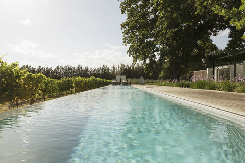Luxuriöser Pool inmitten eines Weinbergs, lizenzfreies Stockfoto