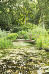 Wooden footbridge over pond - CAIF18003