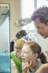 Vater und Kinder bei der Untersuchung eines Aquariums - CAIF18032