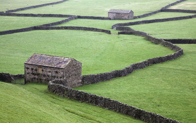 Steinhäuser und Mauern in grünen Feldern - CAIF18080