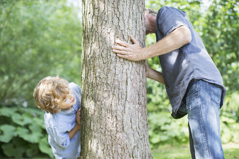 Vater und Sohn spähen um den Baum herum - CAIF18146