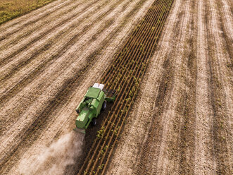 Serbia, Vojvodina, Combine harvester on a wheat, aerial view - NOF00023