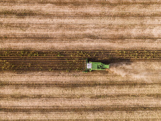 Serbia, Vojvodina, Combine harvester on a wheat, aerial view - NOF00024